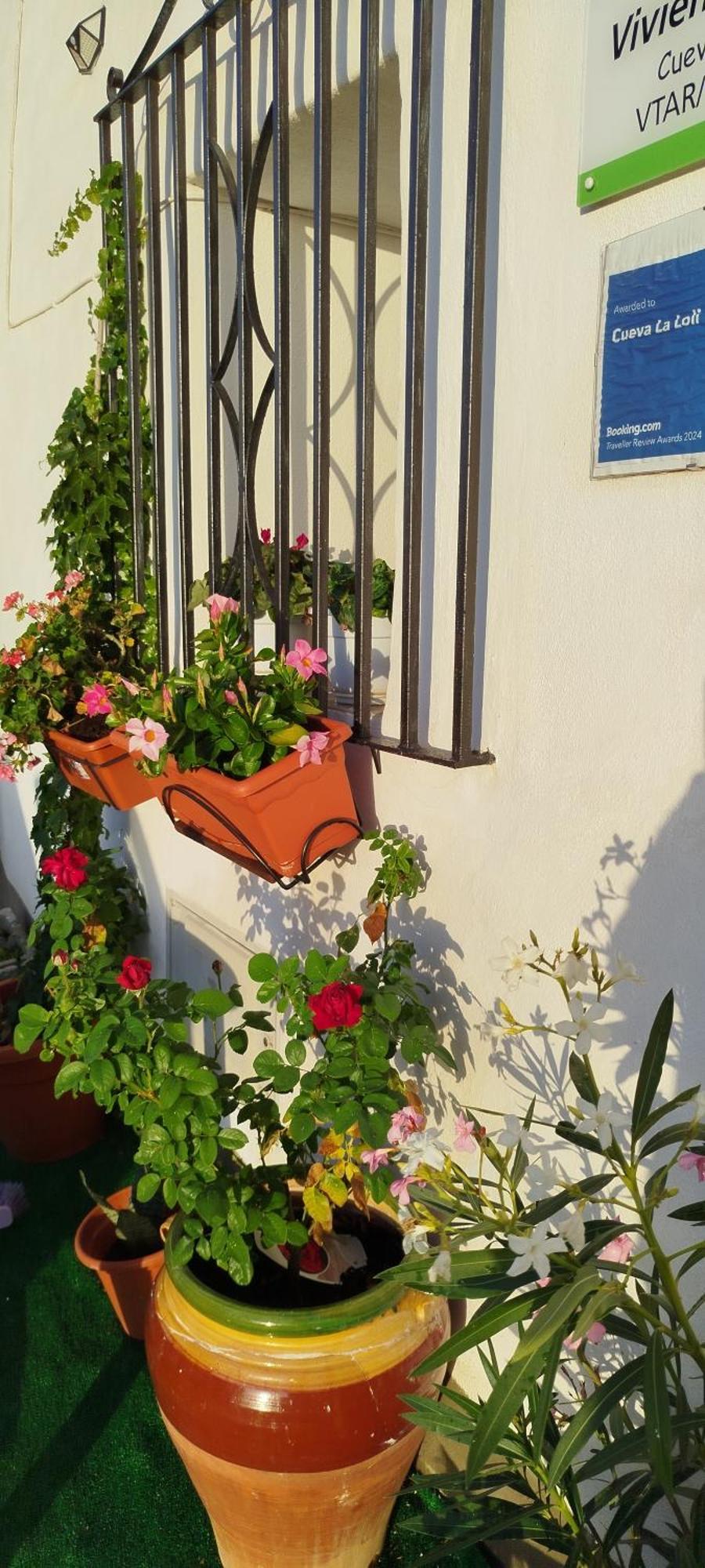 Villa Cueva La Loli Guadix Exterior foto